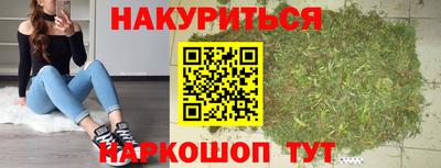 apvp Бердск