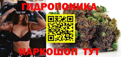 бошки Ачхой-Мартан